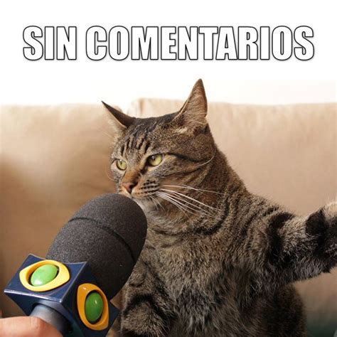 SIN COMENTARIOS .